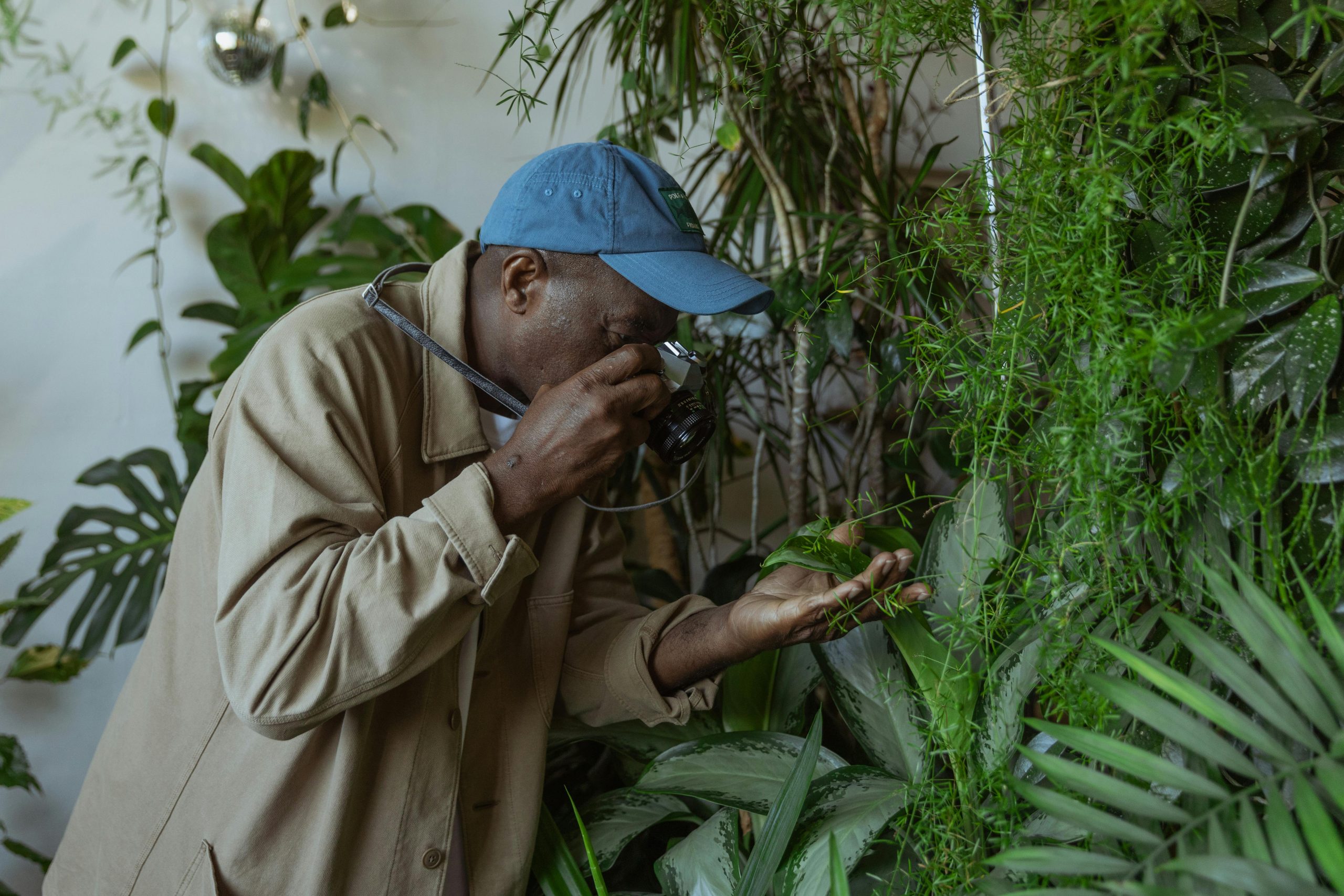 Bienfaits des plantes